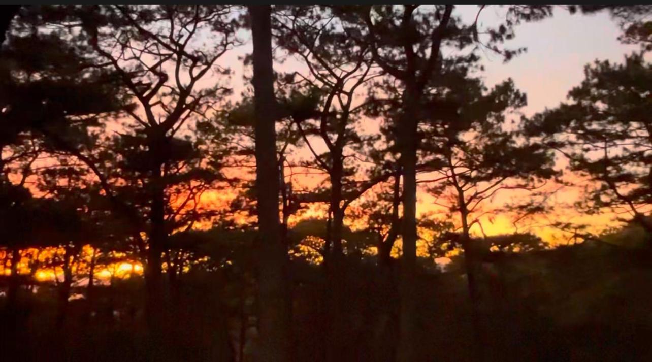 Campjohnhay Forest Estate Baguio City Eksteriør bilde